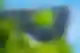 Nvidijino širenje prema IREN-u potvrđuje da se AI više ne gradi samo kroz čipove nego kroz cijele podatkovne kampuse